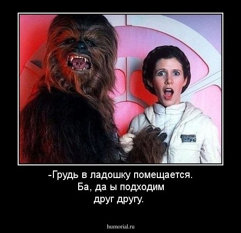 -Грудь в ладошку помещается. Ба, да ы подходим друг другу.
