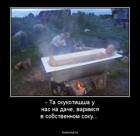 - Та скукотишша у нас на даче, варимся в собственном соку...