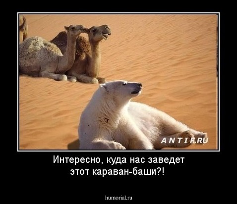 Интересно, куда нас заведет этот караван-баши?!