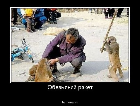 Обезьяний рэкет