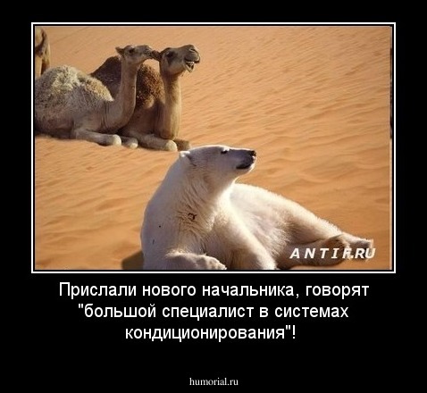 Прислали нового начальника, говорят "большой специалист в системах кондиционирования"!