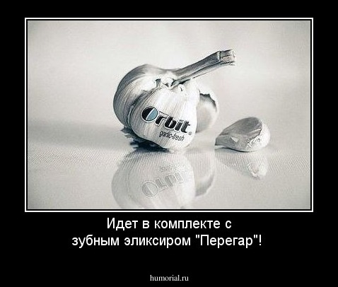 Идет в комплекте с зубным эликсиром "Перегар"!