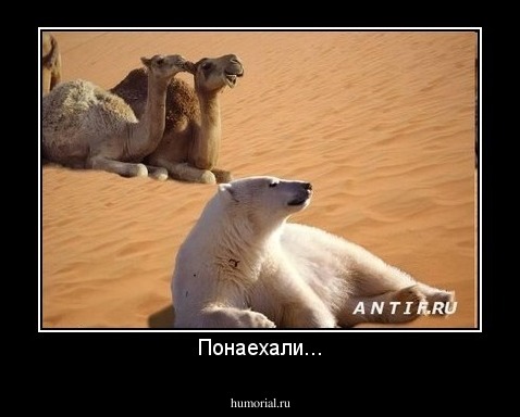 Понаехали...