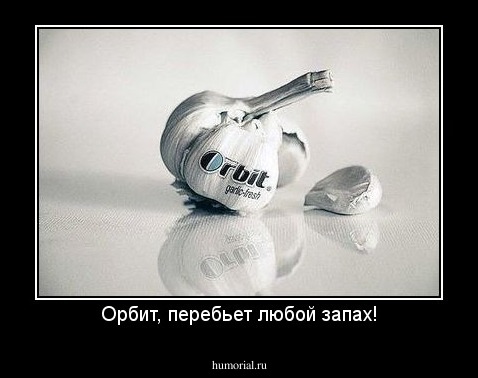 Орбит, перебьет любой запах!
