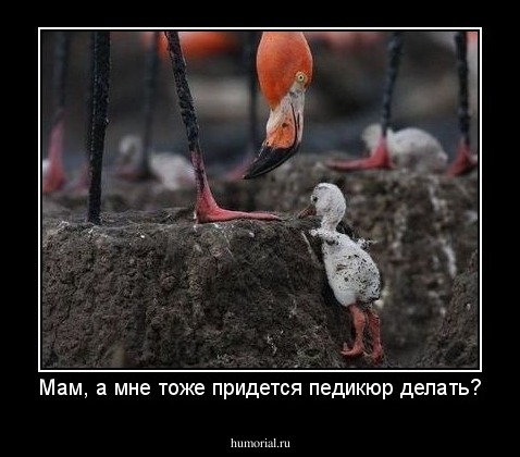 Мам, а мне тоже придется педикюр делать?