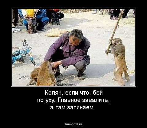 Колян, если что, бей по уху. Главное завалить, а там запинаем.
