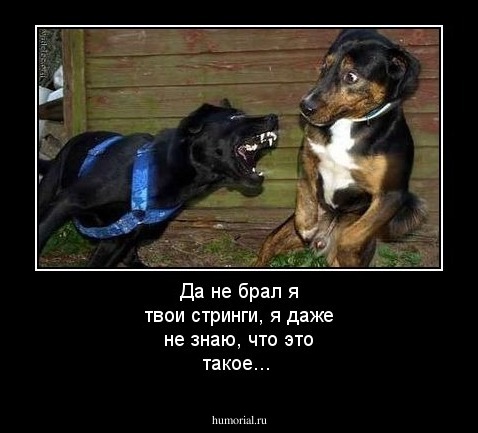 Да не брал я твои стринги, я даже не знаю, что это такое...