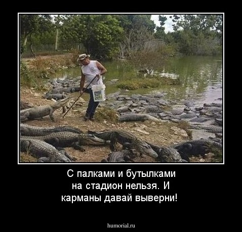 С палками и бутылками на стадион нельзя. И карманы давай выверни!