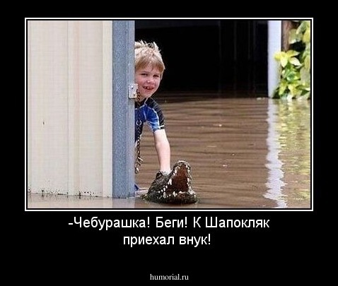 -Чебурашка! Беги! К Шапокляк приехал внук!