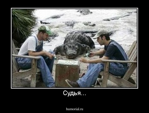 Судья...