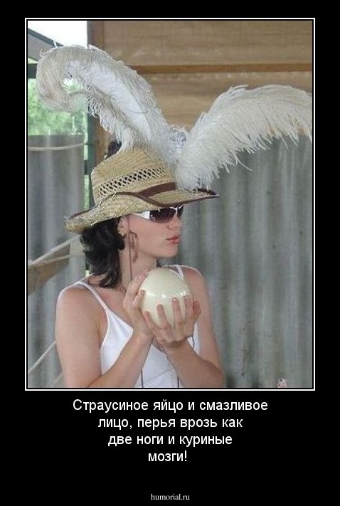 Страусиное яйцо и смазливое лицо, перья врозь как две ноги и куриные мозги!
