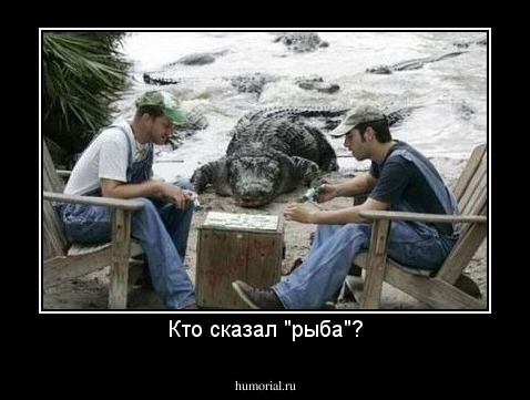 Кто сказал "рыба"?