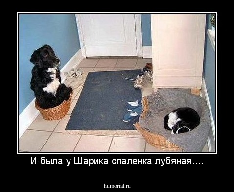 И была у Шарика спаленка лубяная....