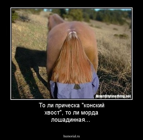 То ли прическа "конский хвост",  то ли морда лошадинная...