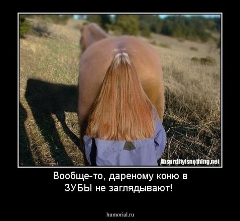 Вообще-то, дареному коню в ЗУБЫ не заглядывают!