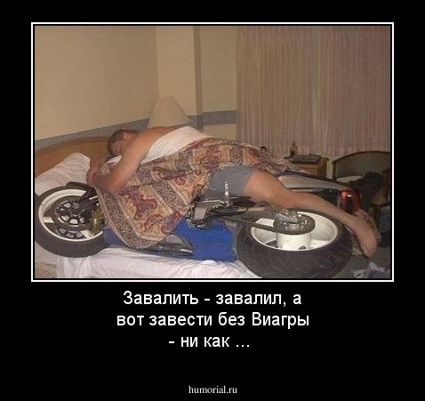 Завалить - завалил, а вот завести без Виагры - ни как ...