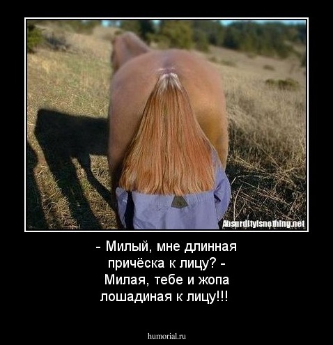 - Милый, мне длинная причёска к лицу?
- Милая, тебе и жопа лошадиная к лицу!!!