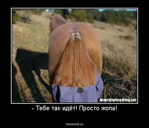 - Тебе так идёт! Просто жопа!