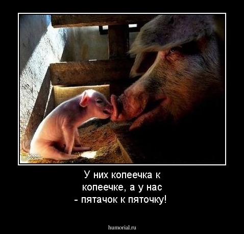 У них копеечка к копеечке, а у нас - пятачок к пяточку!