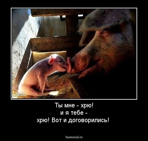Ты мне - хрю! и я тебе - хрю! Вот и договорились!