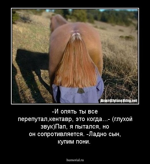 -И опять ты все перепутал,кентавр, это когда...- (глухой звук)Пап, я пытался, но он сопротивляется. -Ладно сын, купим пони.