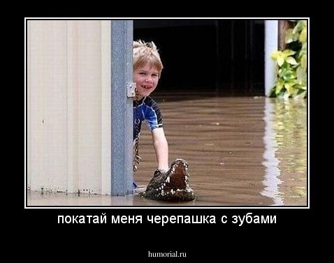 покатай меня черепашка с зубами