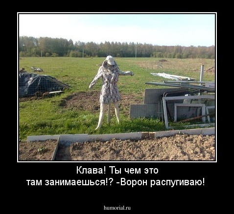 Клава! Ты чем это там занимаешься!? 
-Ворон распугиваю!
