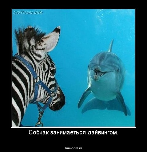 Собчак занимаеться дайвингом.