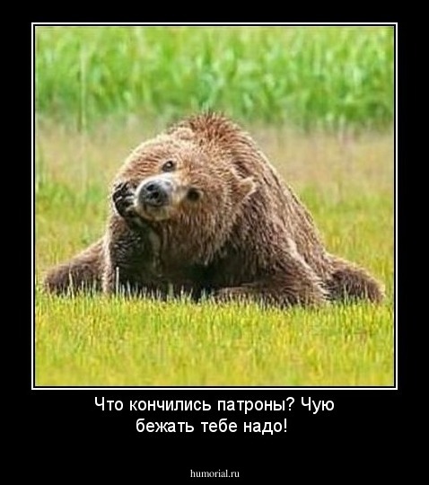 Что кончились патроны? Чую бежать тебе надо!