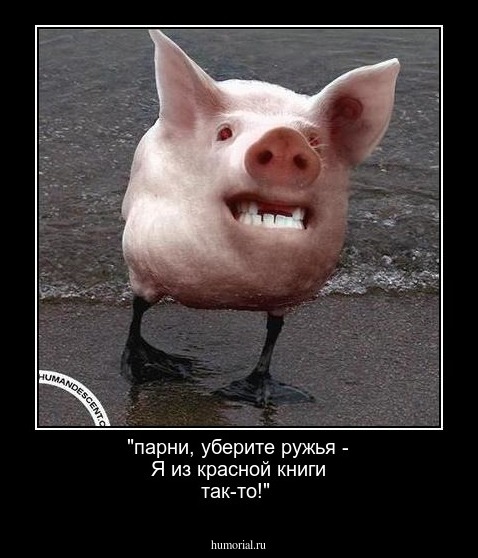 "парни, уберите ружья - Я из красной книги так-то!"