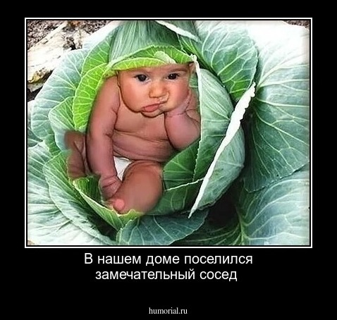 В нашем доме поселился замечательный сосед