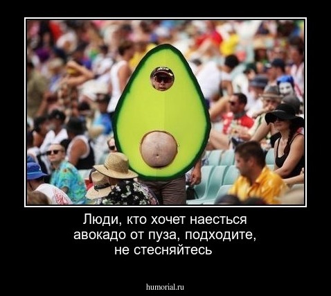 Люди, кто хочет наесться авокадо от пуза, подходите, не стесняйтесь