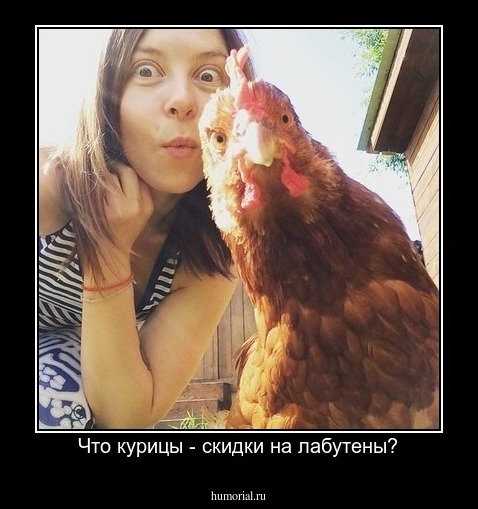 Что курицы - скидки на лабутены?
