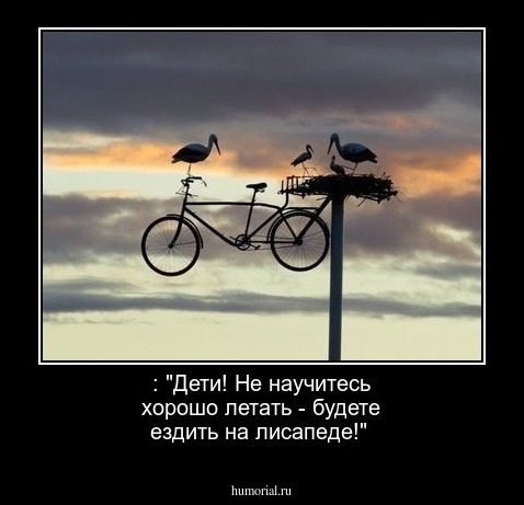: "Дети! Не научитесь хорошо летать - будете ездить на лисапеде!"