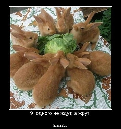 9  одного не ждут, а жрут!