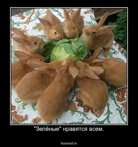 "Зелёные" нравятся всем.