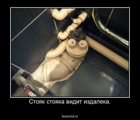 Стояк стояка видит издалека.