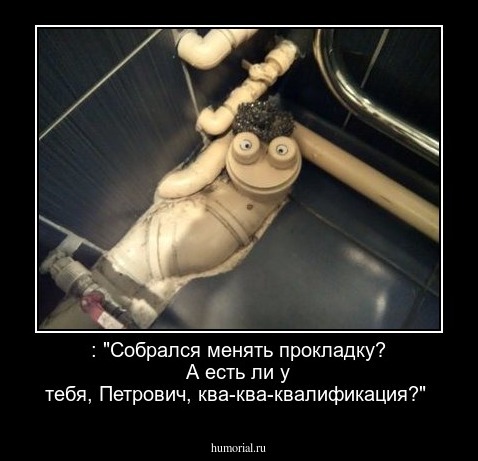 : "Собрался менять прокладку? А есть ли у тебя, Петрович, ква-ква-квалификация?"