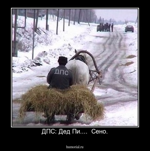 ДПС: Дед Пи....  Сено.