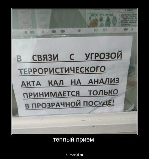 теплый прием 
