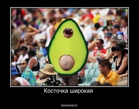 Косточка широкая 