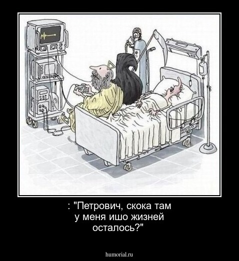 : "Петрович, скока там у меня ишо жизней осталось?"
