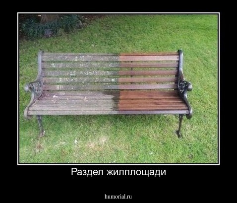 Раздел жилплощади