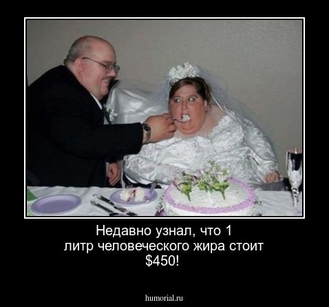 Недавно узнал, что 1 литр человеческого жира стоит $450!