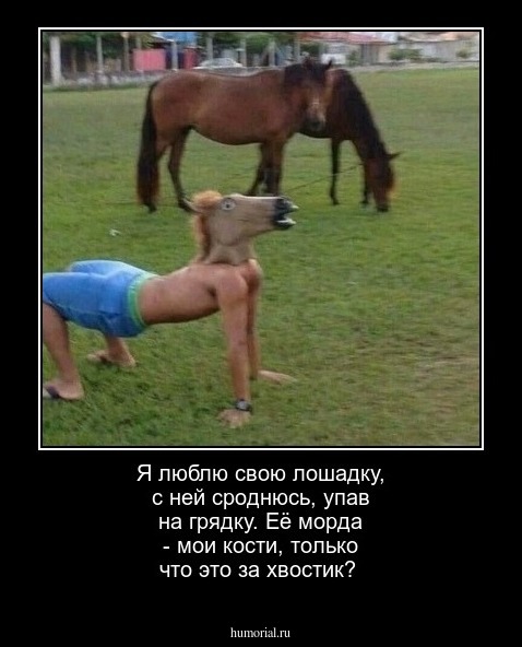 Я люблю свою лошадку, с ней сроднюсь, упав на грядку. Её морда - мои кости, только что это за хвостик? 
