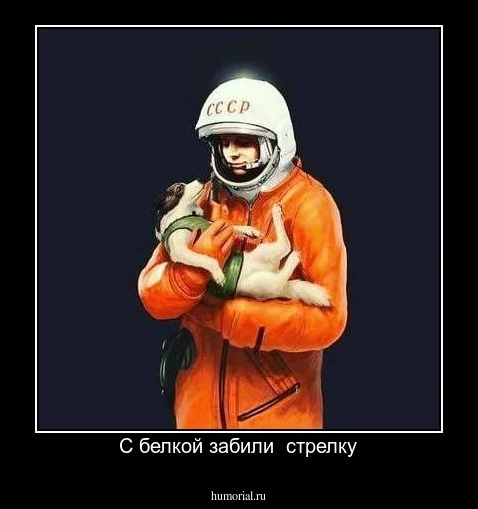 С белкой забили  стрелку