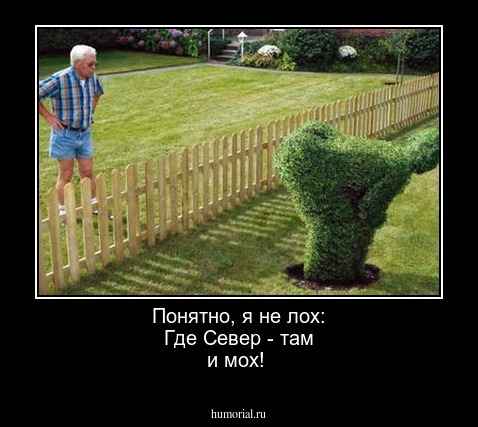 Понятно, я не лох: Где  Север - там и мох!