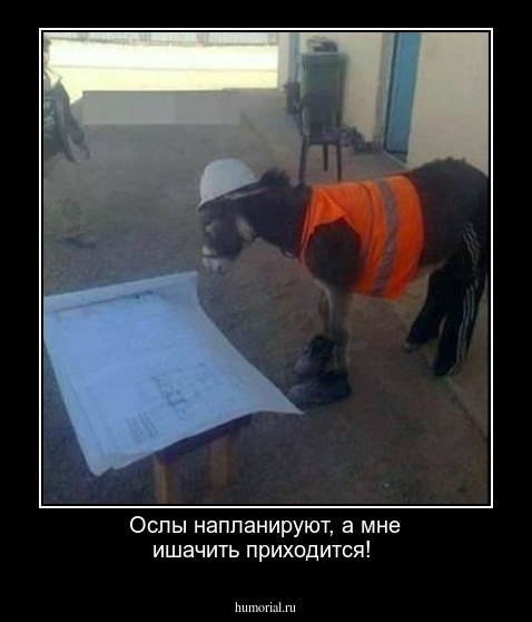  Ослы напланируют, а мне ишачить приходится!
