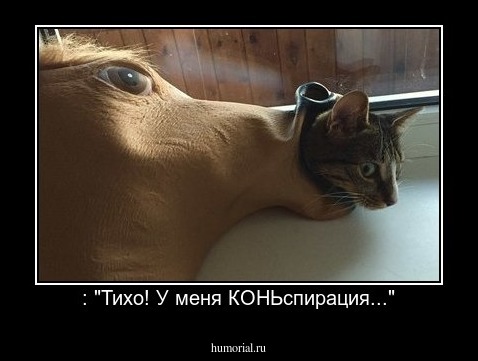 : "Тихо! У меня КОНЬспирация..."