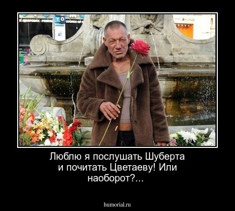 Люблю я послушать Шуберта и почитать Цветаеву! Или наоборот?...